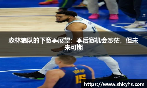 森林狼队的下赛季展望：季后赛机会渺茫，但未来可期