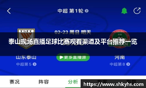 泰山现场直播足球比赛观看渠道及平台推荐一览